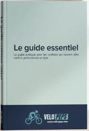 pdf style livre