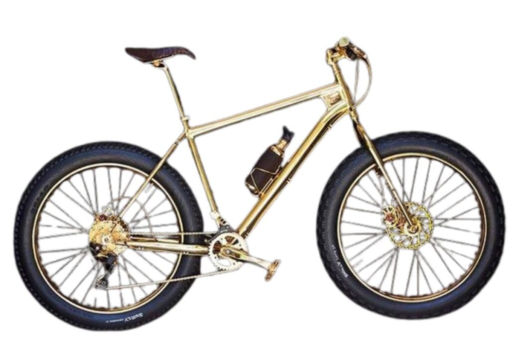 veloworx gold extreme mountain bike