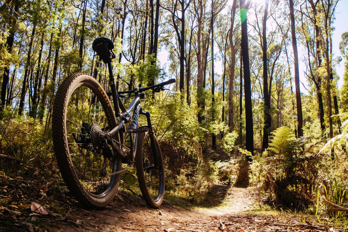 vtt cross country cest quoi